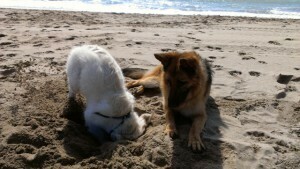 Tina y Tula en la playa